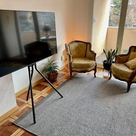 Le Castelview Apartment Sion