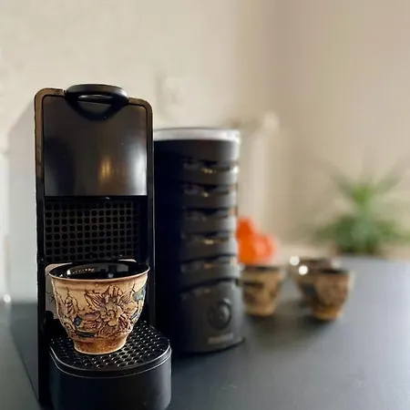 شقة Le Castelview سيون